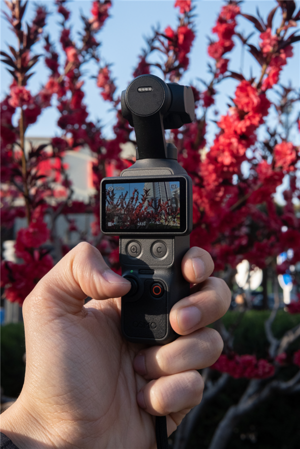 Pocket 4 登上北影节红毯 它凭什么？