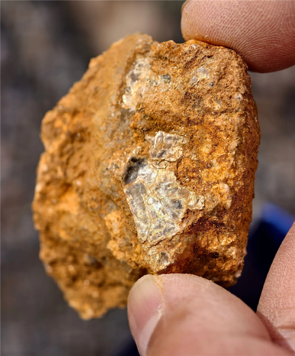 8 岁男孩爬山识草预判山下藏金矿 与 AI 给出的结果高度吻合