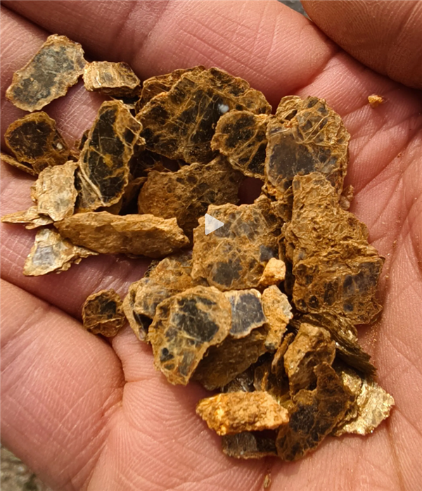 8 岁男孩爬山识草预判山下藏金矿 与 AI 给出的结果高度吻合