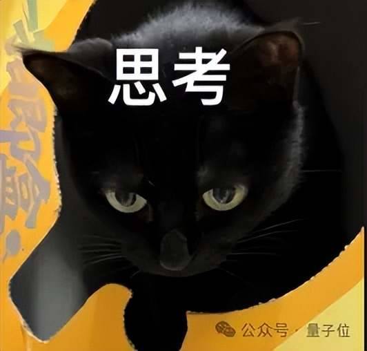 DeepSeek识图模式新模型实测，我被灰度到了