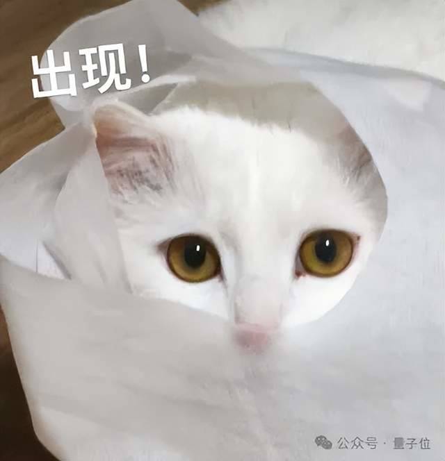 消费级显卡也能跑！面壁智能MiniCPM-o 4.5发布技术报告