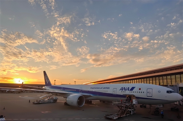 53 条航线全部取消!整个 3 月中日航班取消率为 49.6%