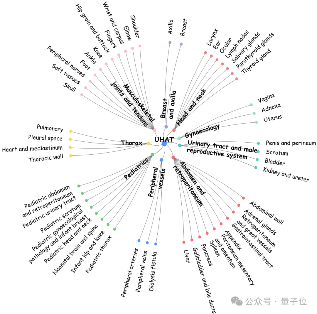 中国团队首创 36.4 万超声图文对数据集，助力 AI 读懂临床诊断语义丨 CVPR'26 AI快讯网
