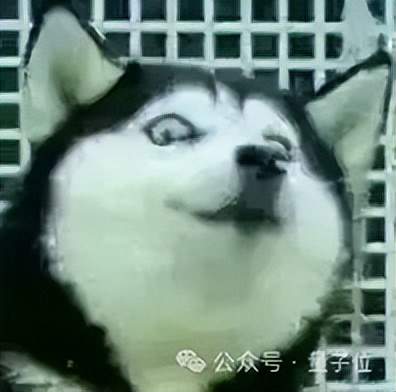 AI 每天狂塞 10 份漏洞报告，Linux 内核维护者崩溃：想摸鱼都难