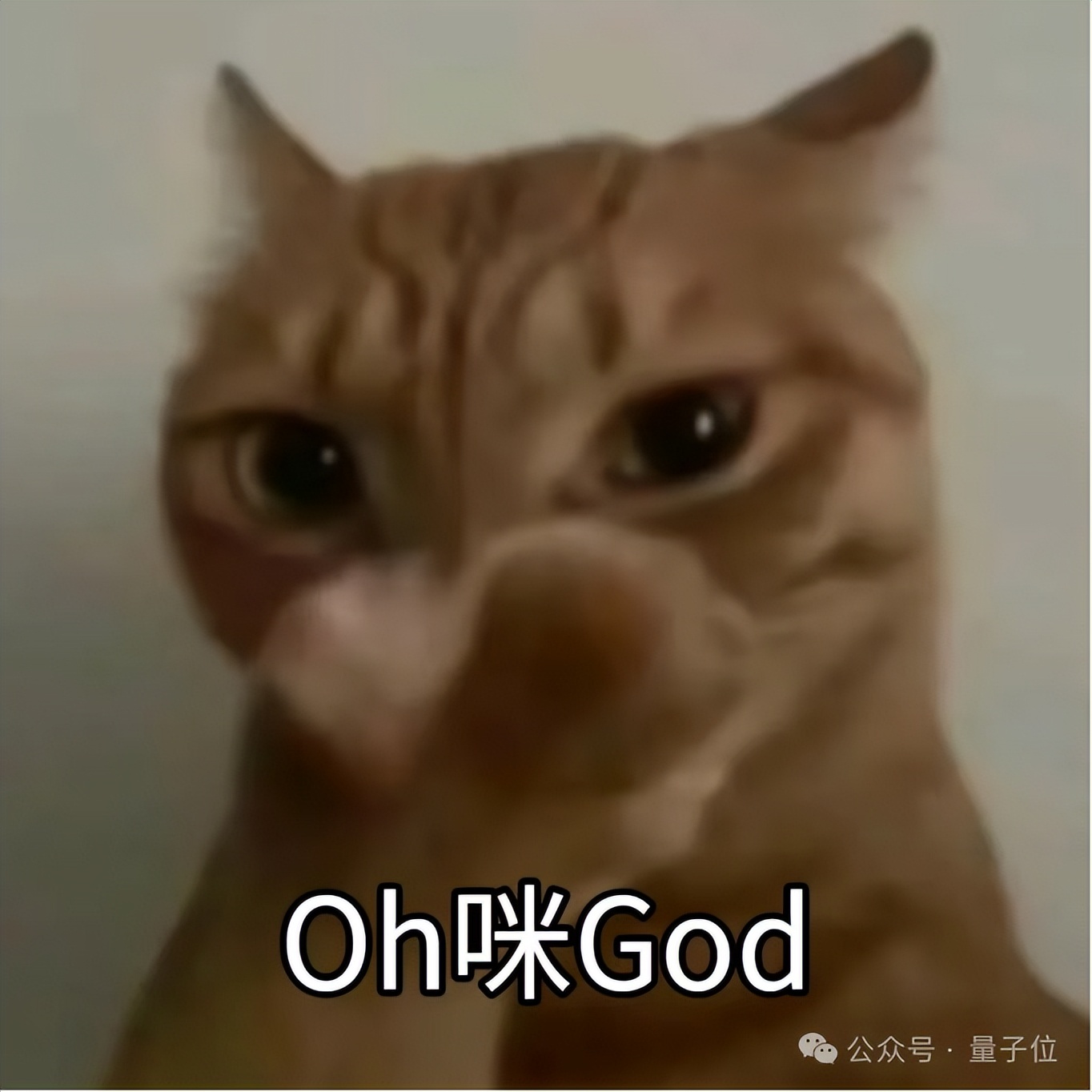 AI快讯网：GPT-6 消息已曝光