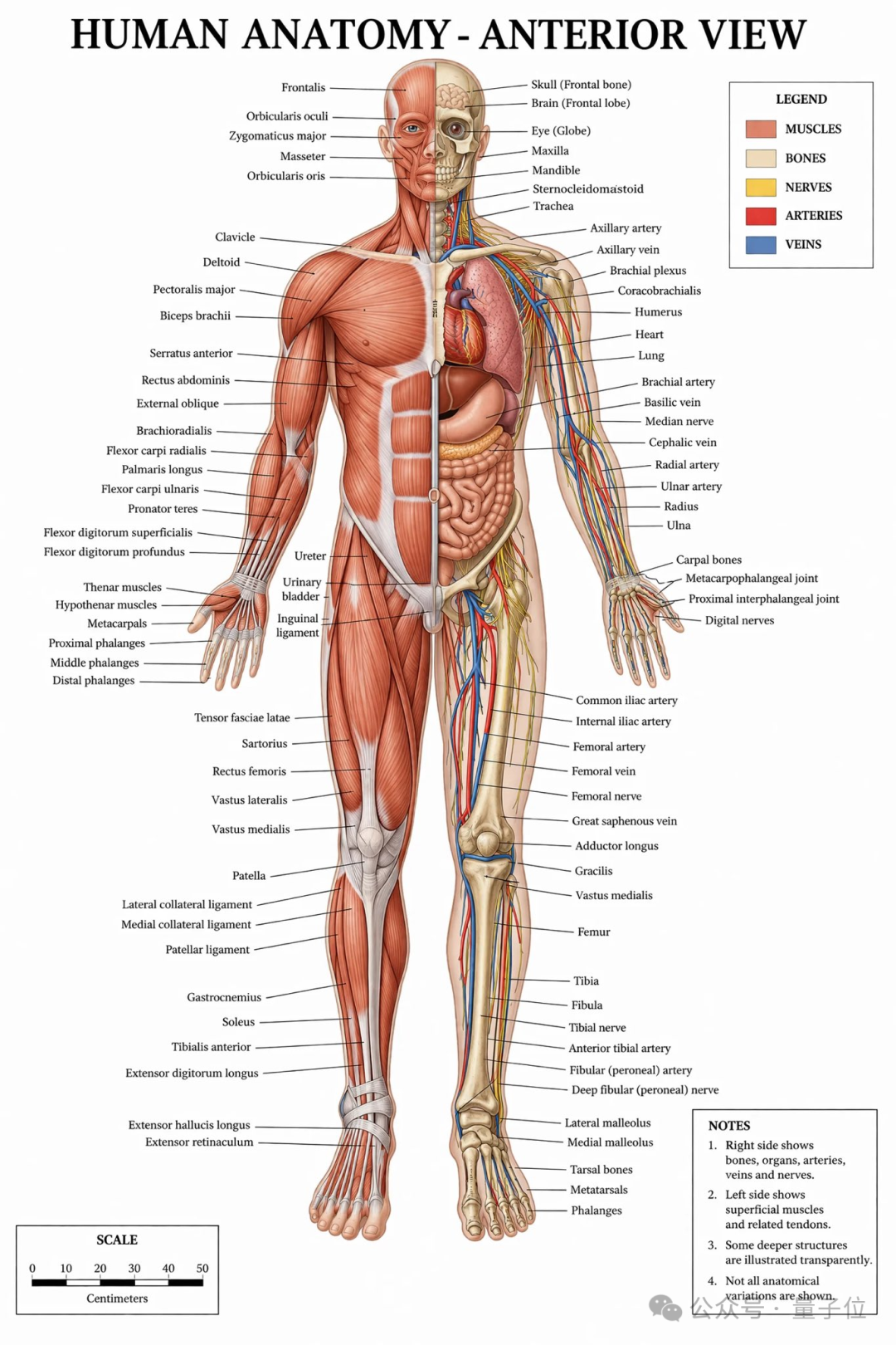AI快讯网：GPT-6 消息已曝光