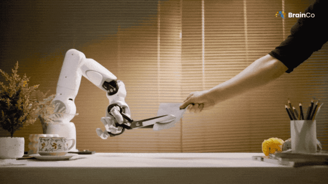 </think>

超越人手！中国首家脑机接口独角兽拟为机器人配备仿生手 – AI快讯网