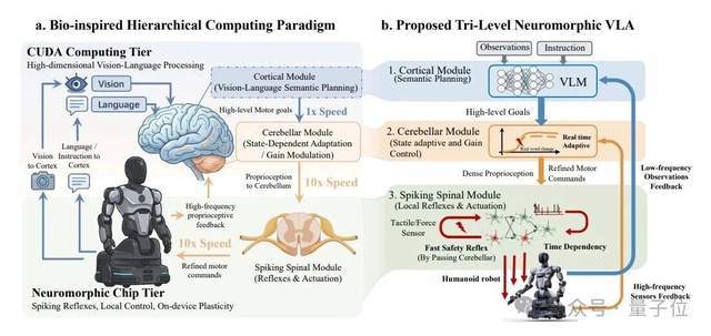 特斯拉开源硬件，中国公司回应：直接开源机器人大脑