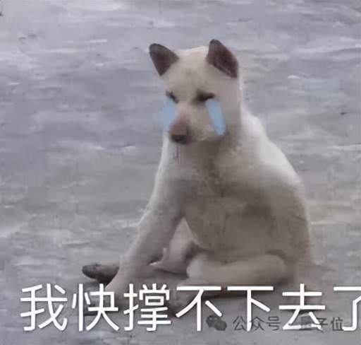 22亿热钱涌入，Token需求飙升千倍，这家AGI Infra头号玩家迎爆发