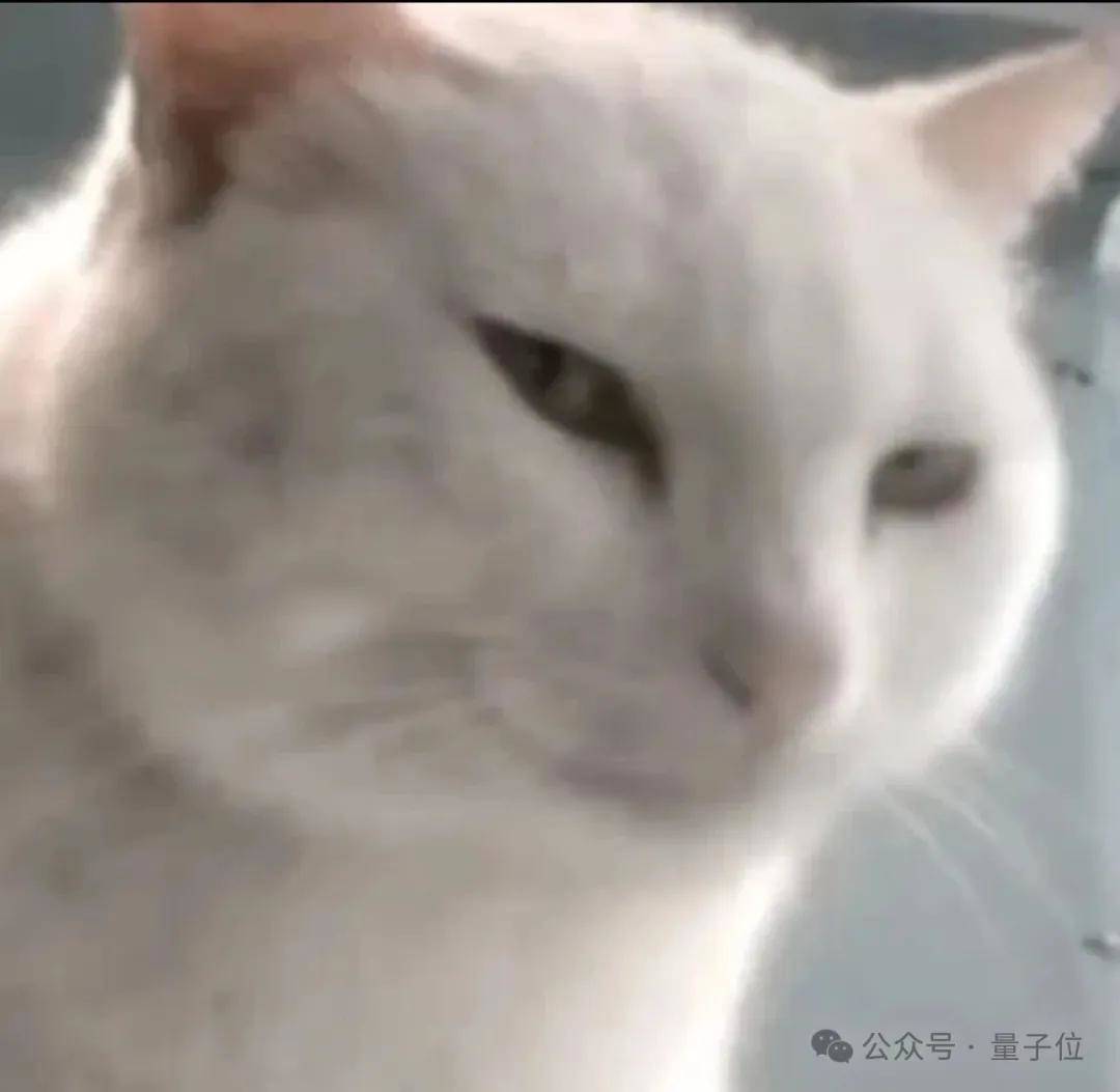 胡彦斌也在苦修Vibe Coding？
