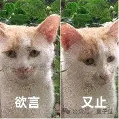 马斯克与OpenAI对簿公堂，硅谷富豪互爆猛料宛如村口斗嘴