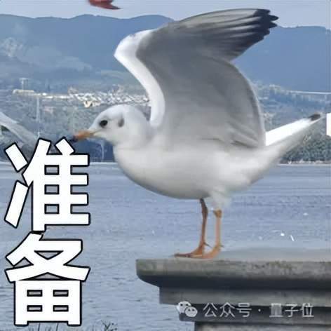 22亿热钱涌入，Token需求飙升千倍，这家AGI Infra头号玩家迎爆发