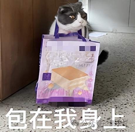 当AI接管编程，程序员唯一不可替代的能力是什么？