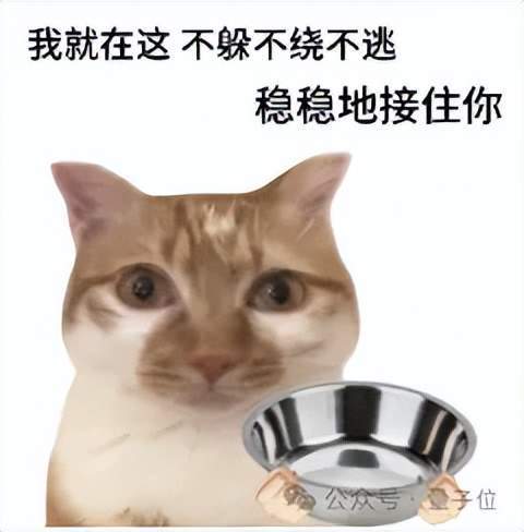 1400亿Agent涌入,流量护城河崩塌