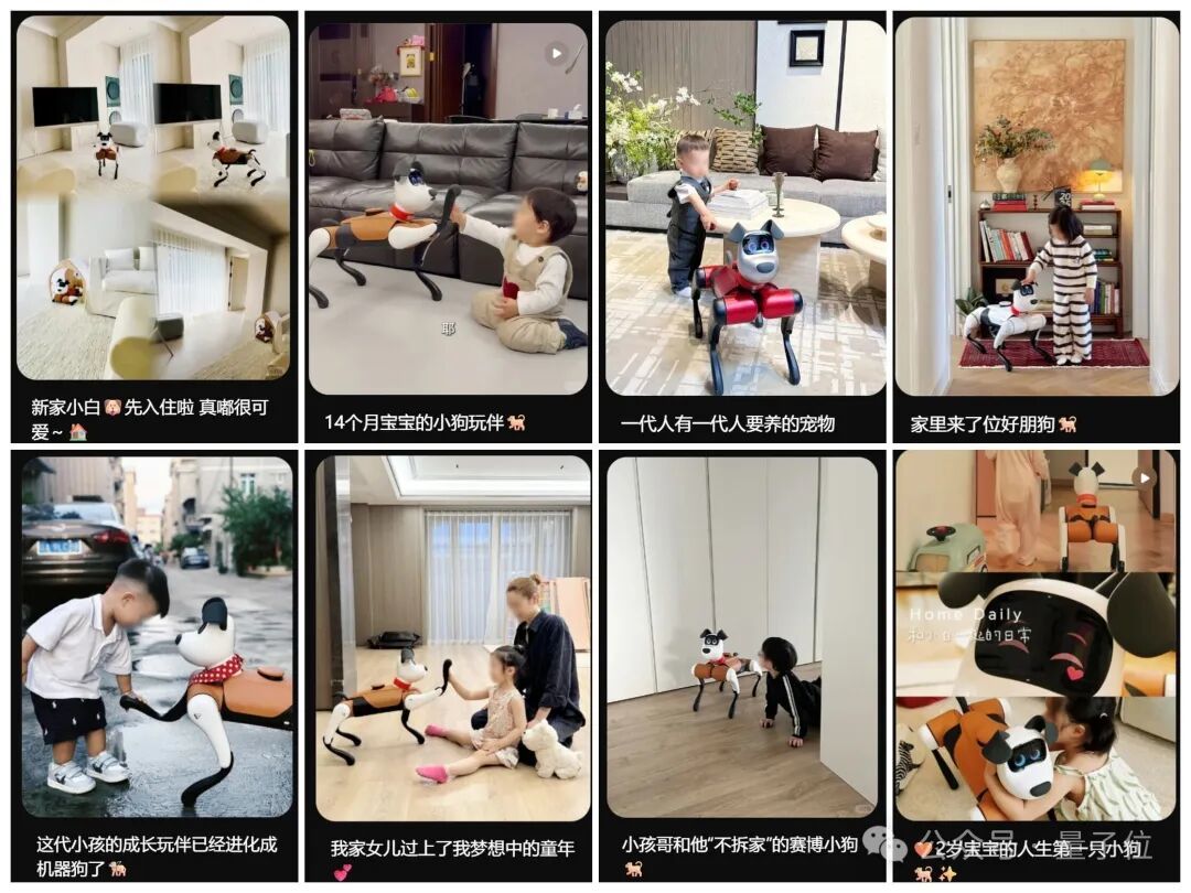 百亿投入人形机器人，不如先让十万台机器狗走进家庭｜AI快讯网