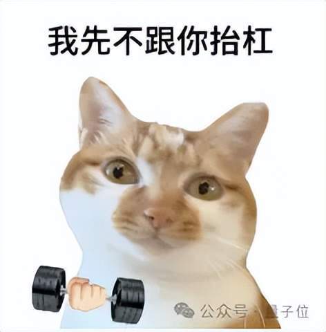 DeepSeek招募土木工程师：自建GW级数据中心