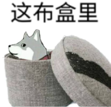 嫌弃开空调不优雅的欧洲人 今年终于热破防了
