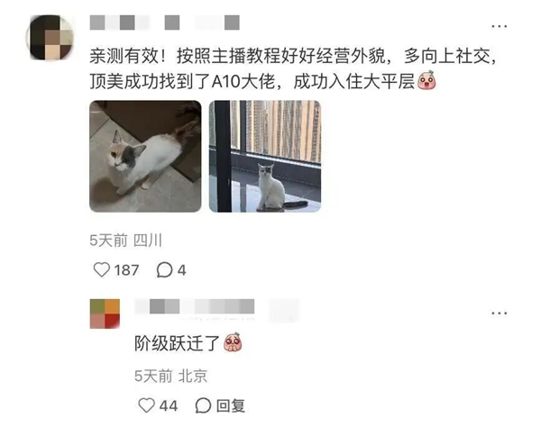 月薪3500 想拿大结果