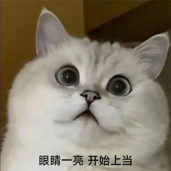 买了三台“大疆平替” 最贵的那台反而最让我破防