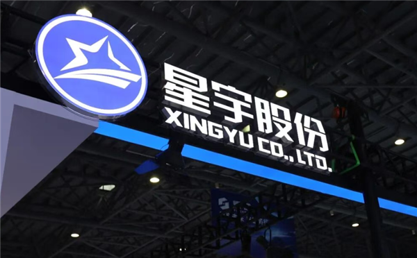 星宇股份再现重大财报失误：外包费用2.44万亿元 达年营收184倍