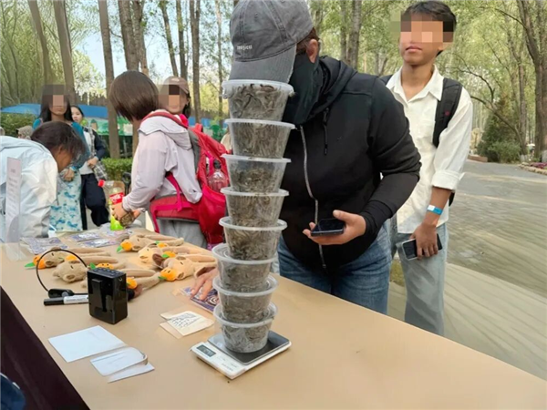 2天抓21斤7万条！北京这场抓毛毛虫大赛国庆继续挑战！