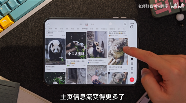 苹果公布iPhone Duo适配应用：爱奇艺、WPS、淘宝等在列
