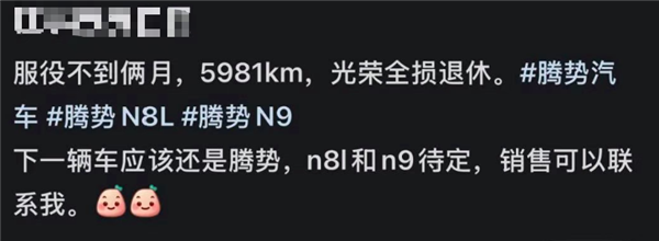 腾势N8L被货车100%侧面撞击：车身稳稳扛住冲击 车主毫发无损