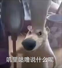 Seven years working at Subway: A mathematician's resume