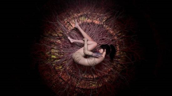 Foreign Media Praises New Chinese AAA Title 'Ming Dynasty': Adds Splendor to the Somber Soulslike Genre