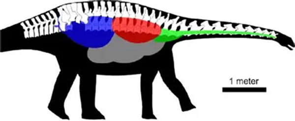 If dinosaurs came to the modern day， could they survive?