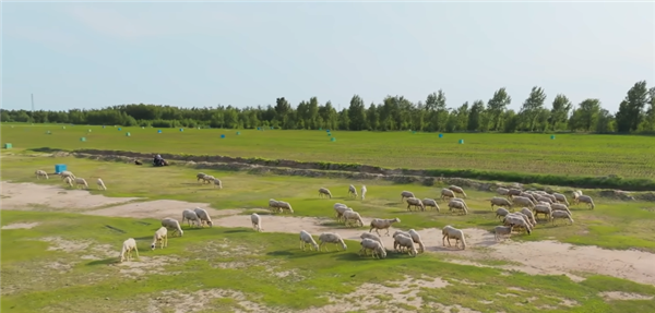 Uranium Mining in Farmland and Pastures! How is Uranium Mined in China?