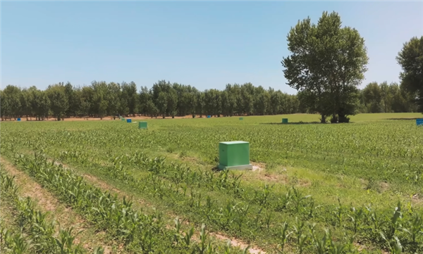 Uranium Mining in Farmland and Pastures! How is Uranium Mined in China?