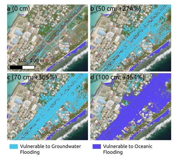 Trending! The World's First Nation 'Applying for Overseas Visas Nationwide' - What Happened?