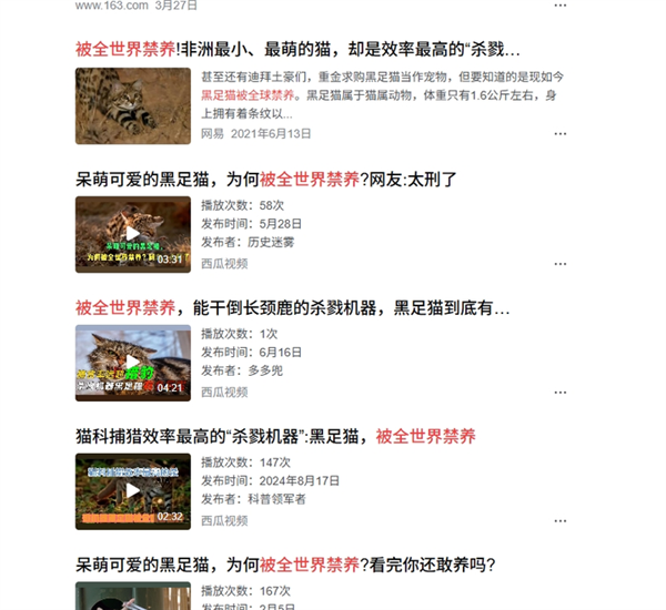 This is the deadliest known feline species! Kills 3000 rodents annually