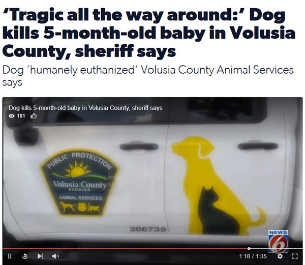 American 7-Month-Old Infant Bitten to Death by 59kg Family Dog While Left Alone Indoors