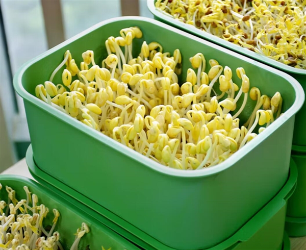 High-priced Appliances Left Unused: These Are the Ones You'll Regret Buying