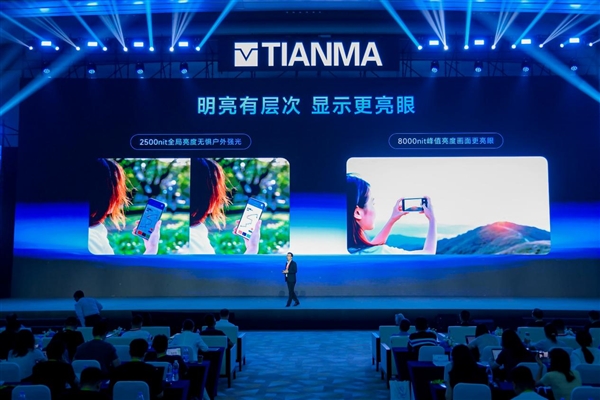 CCTV's Sa Beining Visits Factory to Deeply Interpret Tiangong Screen: Tianma Paves a New Path for OLED with Tiangong Screen!