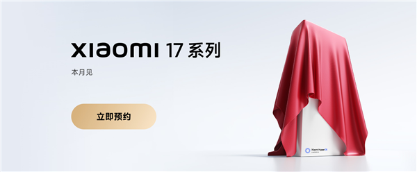 Xiaomi 17 Pro Design