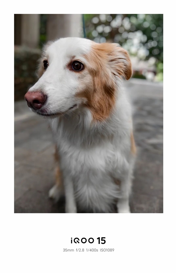 Mobile gaming can truly achieve ray tracing; iQOO 15's claim seems to be more than just hype