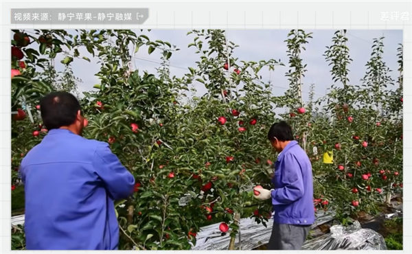 47 Years of Desertification Control in China: It's Not About Eliminating Deserts