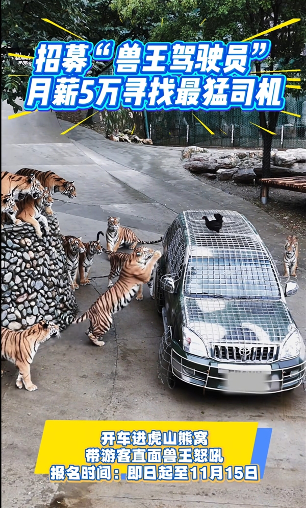 Wildlife park seeks 'fearless driver' with monthly salary of 50，000 RMB
