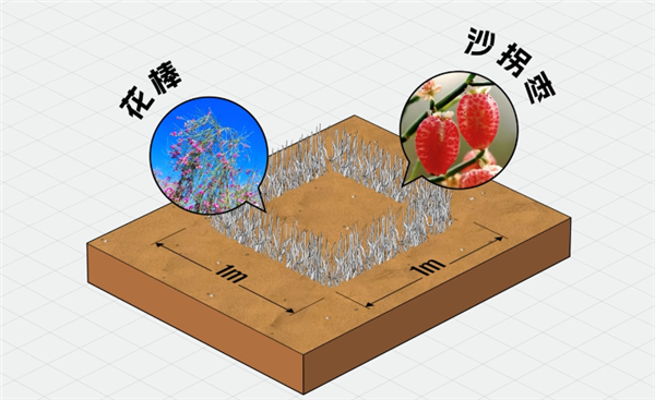 47 Years of Desertification Control in China: It's Not About Eliminating Deserts