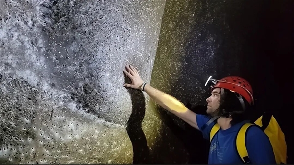 Warning: May cause unease! Scientists discover massive spider nest: Webs stretch 106 sq m in the darkness